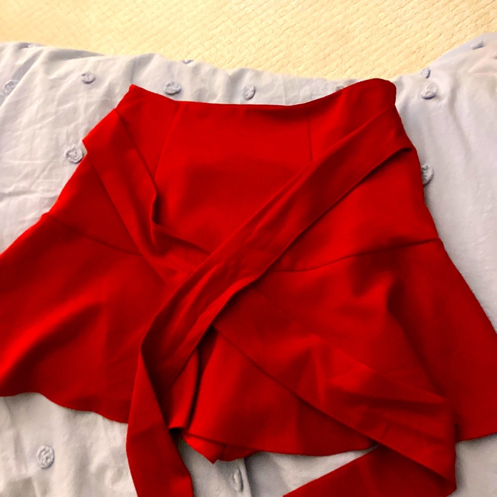 Zara Skirt